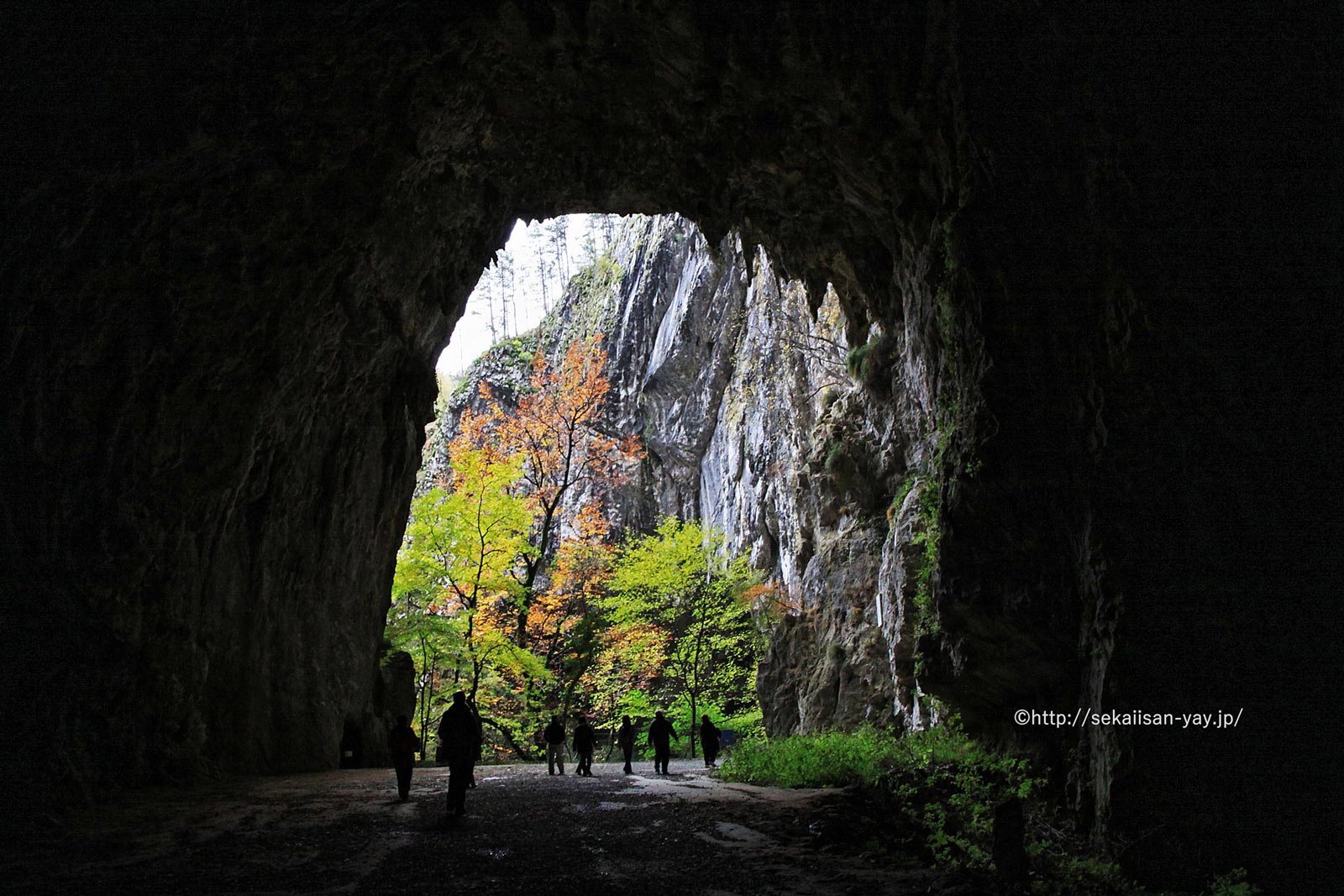 スロベニア「シュコツィアン洞窟群」